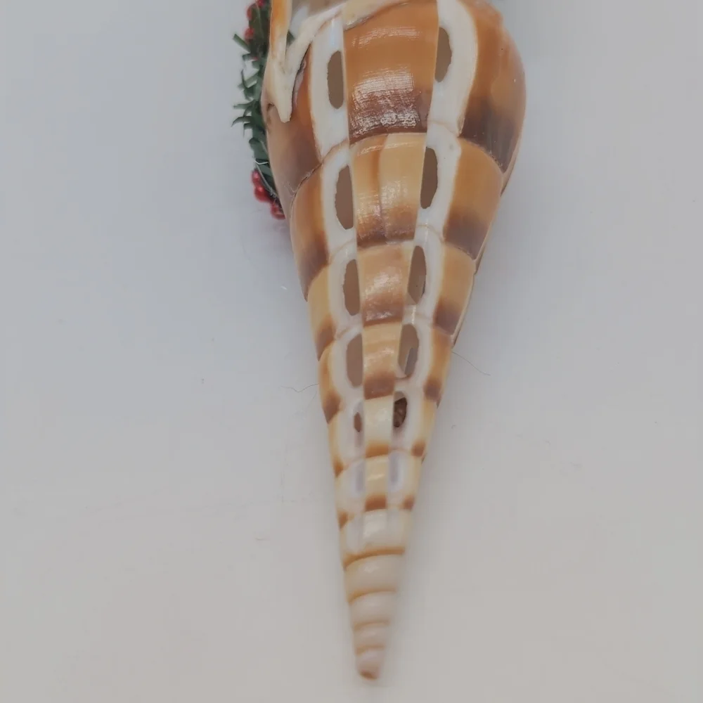Hawaiian Carved Shell Hula Girl  Ornament Oxymeris Maculata